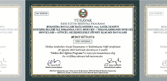 Ziynet Alacağı Davaları
